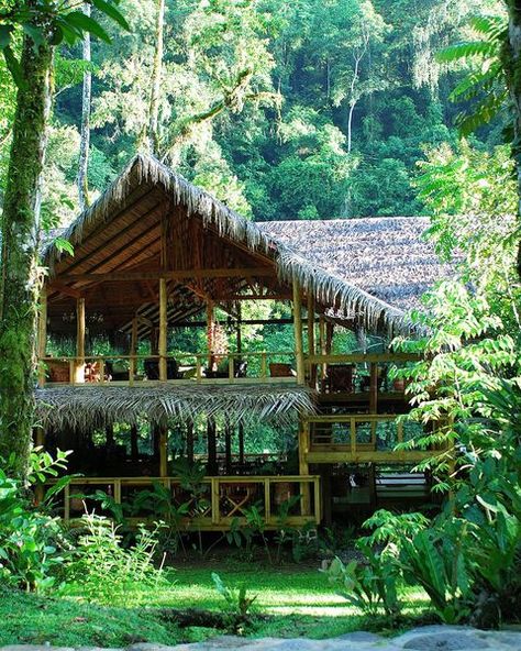 English Countryside Home, Forest Hotel, Forest Resort, Treehouse Hotel, Jungle Life, Jungle House, Resort Architecture, Cool Tree Houses, Eco Lodge