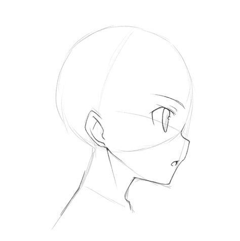 Drawing Tutorial Head, Draw Anime Face, Anime Side View, Side View Of Face, Draw Head, Side View Drawing, Drawing Anime Bodies, Anime Face Drawing, Head Anatomy