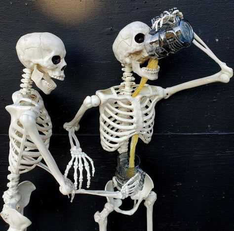 Goofy Skeleton, Skeleton Pfp Funny, Skull Funny, Funny Skeleton Pfp, Halloween Skeleton, Skeleton Funny Poses, Random Skeleton Pics, Human Skeleton Model, Skeleton Pics