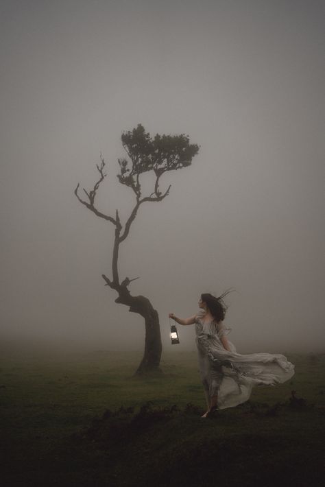 Featuring thesongoftheswan on IG Frame For Photo, I Name, Cold Rain, Wild Photography, Dreamy Photography, Ancient Tree, In Sync, Witch Aesthetic, Fantasy Aesthetic