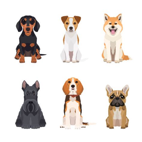 2.000+ Jack Russell Terrier Ilustraciones, gráficos vectoriales libres de derechos y clip art - iStock | Perro, Pekines, Labrador retriever Bulldog Clipart, Russel Terrier, Akita Dog, Jack Russel, Download Image, Different Dogs, Russell Terrier, Scottish Terrier, Jack Russell Terrier