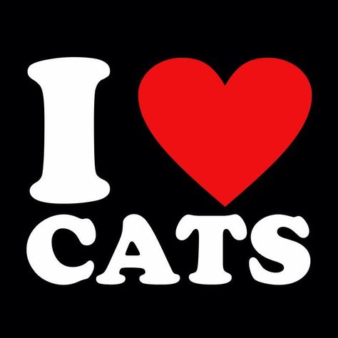 I Love Cats I Love Hugs Pfp, I ♡, I Love Cats Pfp, I <3, I Love Poster, I Heart, I Love My Cats, Love Profile Picture, Cat Text