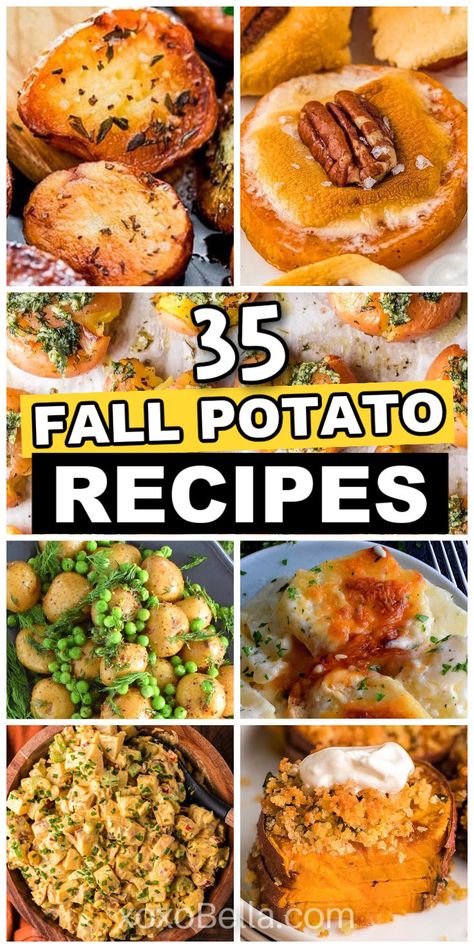 Fall potato recipe ideas Autumn Potato Recipes, Roasted Potato Dinner Ideas, Potato Dish For Potluck, Easy Potato Dishes For A Crowd, Winter Potato Recipes, Easy Potato Meal Recipes, Dinner Baked Potato Meals, Fried Potato Casserole, Amazing Potato Recipes