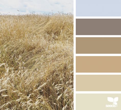 Color Field Design Seeds Color Palette, Natural Colour Palette, Seeds Color Palette, Seeds Color, Color Palette Challenge, Color Palate, Design Seeds, Colour Field, Colour Palettes