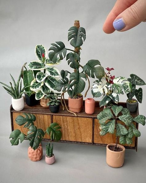 POLYMER CLAY PLANTS I LEAFCANES I MINIATURE ART (@astridwilkstudio) • Fotos e vídeos do Instagram Polymer Clay Models, Polymer Clay Mini Plants, Miniature Plants Diy, Polymer Clay Plants, Miniature Clay Pots, Clay Plants, Diy Fairy Door, Have A Nice Sunday, Room Box Miniatures