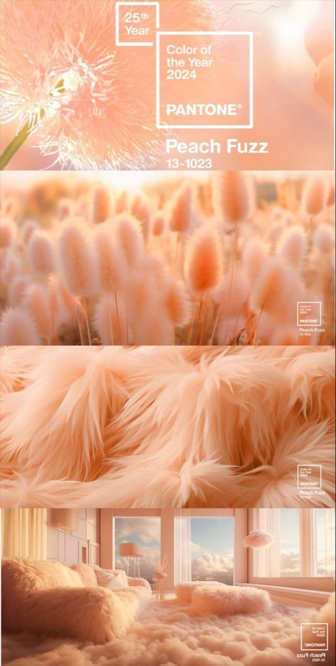 Pantone Color 2024 Peach Fuzz, Peach Pantone 2024, 2024 Peach Fuzz, Color Of 2024 Pantone, Peach Fuzz Pantone 2024 Wedding, 2024 Aesthetic Trends, Pantone Colour Of The Year 2024, 2024 Color Of The Year Pantone, Peach Fuzz Color Aesthetic