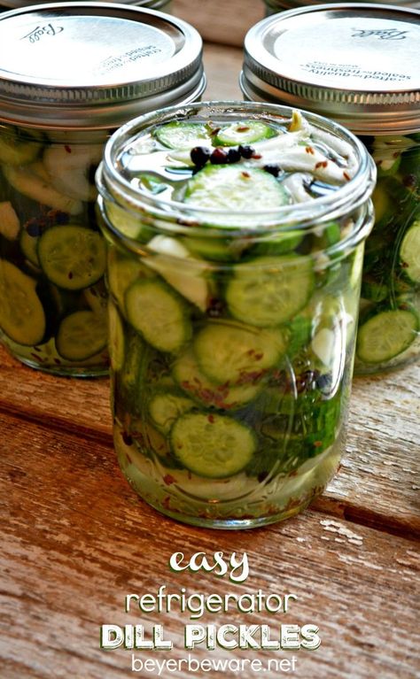 These easy refrigerator dill pickles are quick to make refrigerator pickle recipe and will disappear out of your fridge just as fast. #pickles #easyrecipes Refrigerator Pickles Dill Seed, Dill Pickles Homemade Easy Refrigerator, Canning Veggies, Refrigerator Dill Pickles, Refrigerator Pickles Dill, Refrigerator Pickle Recipes, Pickle Vodka, Csa Box, Dill Pickle Recipe