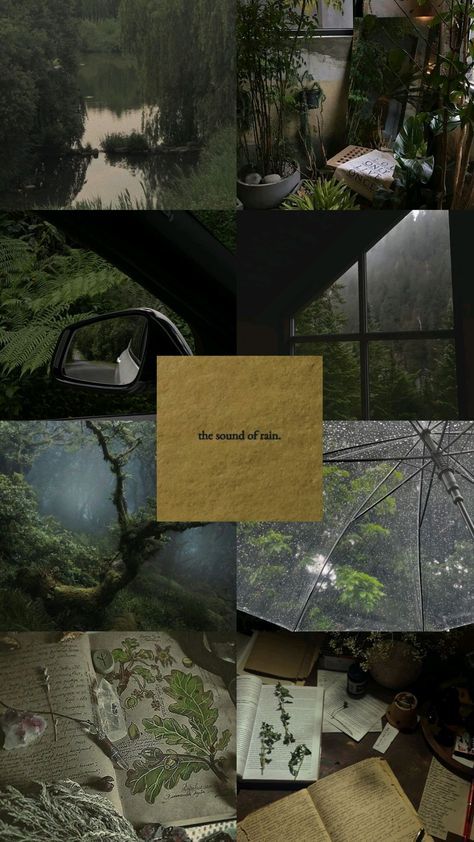 Elvish Home Aesthetic, Different Aesthetics Types, Mood Vibes, Rainy Day Aesthetic, Light Aesthetic, Aesthetic Wallpaper Iphone, Wallpaper Disney, Dark Green Aesthetic, Book Wallpaper