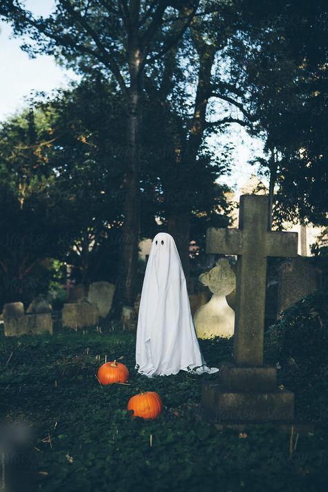 Little boy in halloween ghost costume in a graveyard by kkgas - Stocksy United Vintage Ghost Costume, Ghost In Graveyard, Butterfly Terrarium, Ghost Film, Sheet Ghosts, Halloween Ghost Costume, Ghost Aesthetic, Halloween Sleepover, Ghost Photoshoot