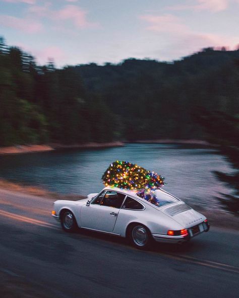 @voguegram on Instagram: “Porsche Christmas tree delivery” Cavo Tagoo Mykonos, Driving Home For Christmas, Porsche 912, Porsche Classic, Porsche Macan, Christmas Car, Automotive Photography, Best Luxury Cars, Classic Porsche