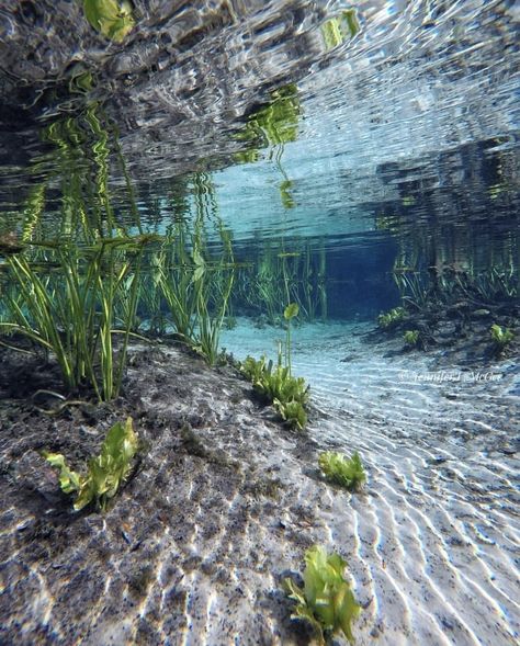 Water And Nature Aesthetic, Jewel Core Aesthetic, Freshwater Aesthetic, Seacore Aesthetic, Feeling Embarrassed, Carpet Ideas 2023, Be An Influencer, Jungle Beach, Water Landscape