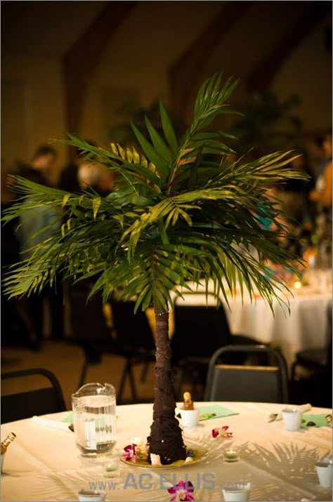 Jill + Dustin: Brookings, South Dakota Wedding » Sioux Falls Wedding Photography AC Ellis Mini Palm Tree, Tropical Centerpieces, Tree Centerpiece, Fiesta Tropical, Tree Centerpieces, Hawaiian Party, Tropical Party, Tropical Theme, Beach Theme Wedding