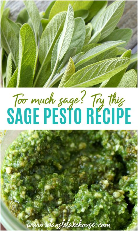 Sage Vegan Recipes, Sage Preserving, Sage Pesto Recipes, Ways To Use Fresh Sage, What To Do With Sage Leaves, Sage Oil Recipe, Herb Pesto Recipes, How To Preserve Sage, Sage Herb Recipes