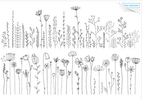 Hur Man Ritar Blommor, Doodle Abstract, Image Drawing, Wildflower Drawing, Arte Doodle, Botanical Line Drawing, Herbs And Flowers, Floral Doodle, Drawn Flowers