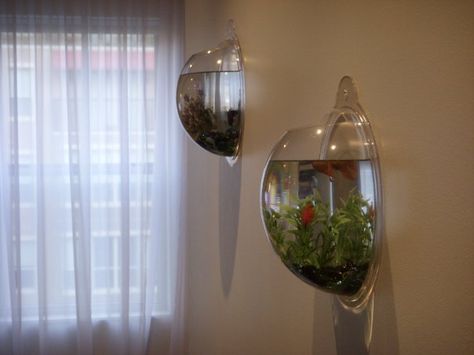 on the wall fish tanks Aqua Furniture, Finding Nemo Bathroom, Little Mermaid Bathroom, Aquarium Inspiration, Vertical Garden Plants, Cool Fish Tanks, Fish Bowls, Mini Aquarium, Tank Art