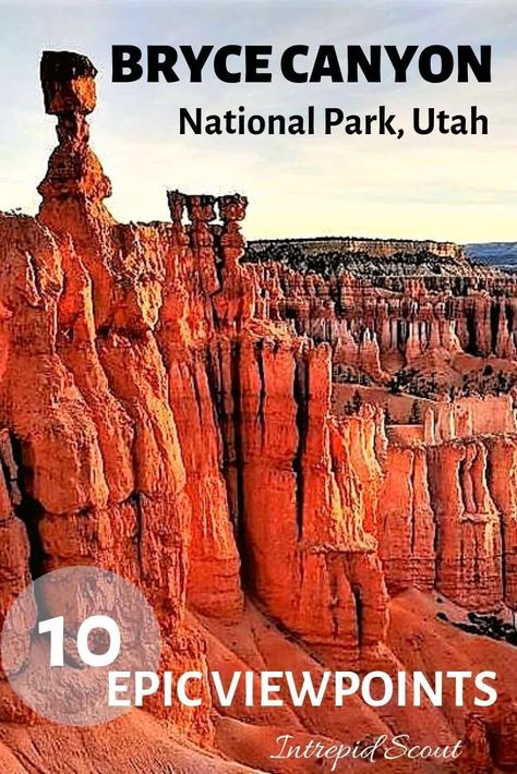 10 Epic Viewpoints in Bryce Canyon National Park - Intrepid Scout Bryce Canyon Hikes, National Parks America, Utah Road Trip, National Park Vacation, Outdoor Vacation, National Park Road Trip, Utah Travel, Bryce Canyon National Park, Utah National Parks