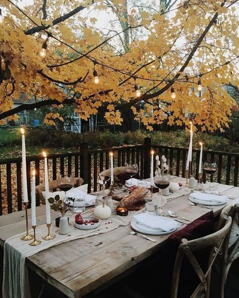 If you’re looking for something that makes you appreciate fall, check out these 11 outdoor spots. Outdoor Thanksgiving, Setting Table, Fall Dinner Party, Neutral Fall Decor, Fall Decor Inspiration, Diy Outdoor Decor, Outdoor Table Settings, Fall Dinner, Outdoor Setting