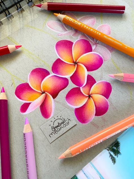 Realistic Flower Color Pencil Drawings, Creative Animal Drawings, Realistic Flower Drawing Color, Drawings Colored Pencils Ideas, Color Pencil Flowers, Coloring Pencil Art, Realistic Colour Pencil Drawings, Colour Pencil Drawing Easy, Colour Pencil Art Sketches