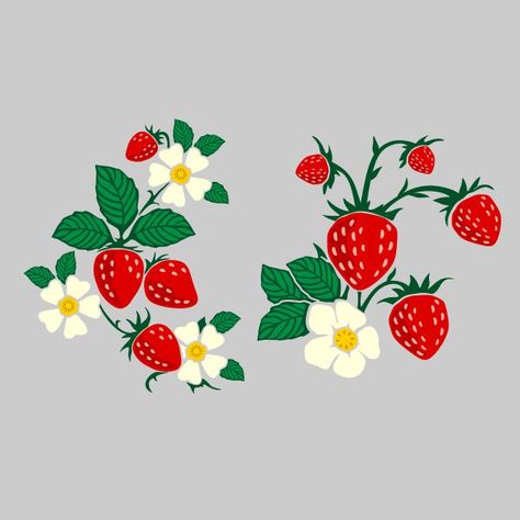 Strawberry Pictures, Strawberry Drawing, Strawberry Plant, Strawberry Art, Strawberry Flower, Fruit Illustration, Flower Svg, Plant Flower, 그림 그리기