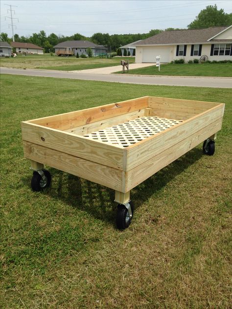 Raised Garden Bed on Wheels Portable Raised Garden Beds, Bed On Wheels, Taman Diy, Portable Garden, Vertical Vegetable Garden, Vegetable Garden Raised Beds, Building A Raised Garden, Diy Raised Garden, Raised Garden Beds Diy