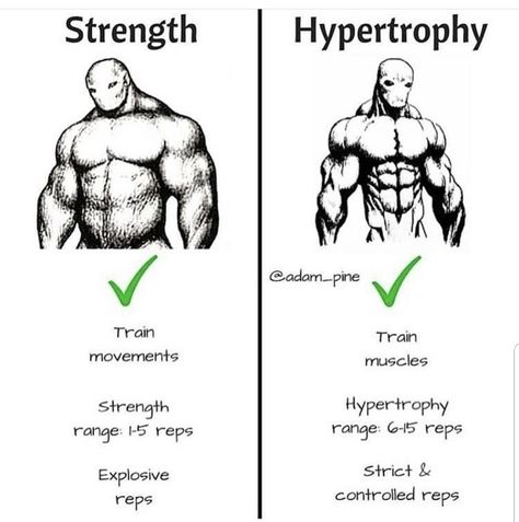 Hypertrophy Training, Muscle Hypertrophy, Fitness Memes, Training Fitness Gym, Gym Tips, Muscle Building Workouts, Workout Memes, Street Workout, Biceps Workout