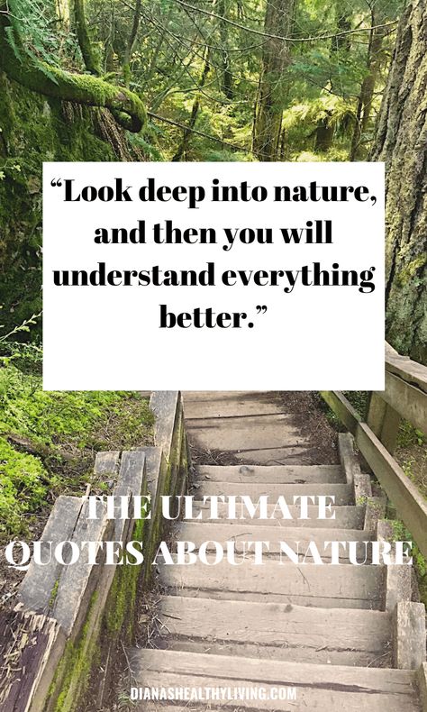 100 inspirational Nature Cations for Instagram. Nature is full of so much beauty. Here are some short nature puns, famous nature captions, and short nature quotes for Instagram. #naturquotes #inspirationalquotes #mothernature #outdoors #lovenature Therapy Captions, Holiday Captions, Nature Puns, Nature Captions For Instagram, Instagram Captions For Pictures, Nature Captions, Citation Nature, Life Captions, Views Nature