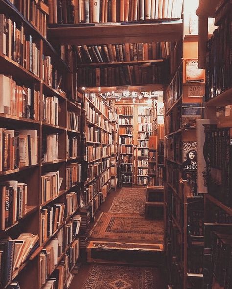 Old Library, Library Aesthetic, Dream Library, Home Libraries, Dark Academia Aesthetic, World Of Books, Academia Aesthetic, Book Nooks, Library Books