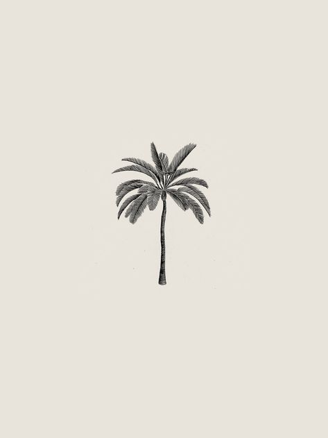 Palm Tree Art Print, Palm Tree Illustration Design, Photography Illustration Art, Palm Tree Graphic Design, Palm Tree Branding, Palmtrees Illustration, Palms Drawing, Palms Tattoo, Palm Tree Tattoo Design