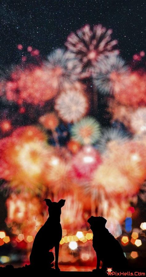 Fireworks and Dogs Dogs Iphone Wallpaper, Flyer Background Design, Apple Advertising, Flyer Background, Good Morning Wallpaper, Ipad Background, Hd Anime Wallpapers, Graphic Projects, Ios Wallpapers