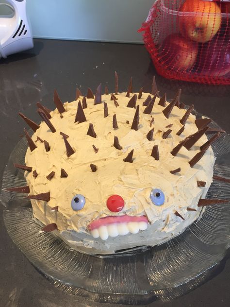 Ugly hedgehog cake 🦔 Cake, Birthday, Birthday Cake