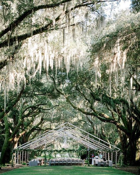 Legare Waring House, Charleston, SC Southern Wedding Venues, Southern Charm Wedding, Charleston Wedding Venues, King Photography, Dream Venue, Spanish Moss, Outdoor Venues, Southern Weddings, Whimsical Wedding