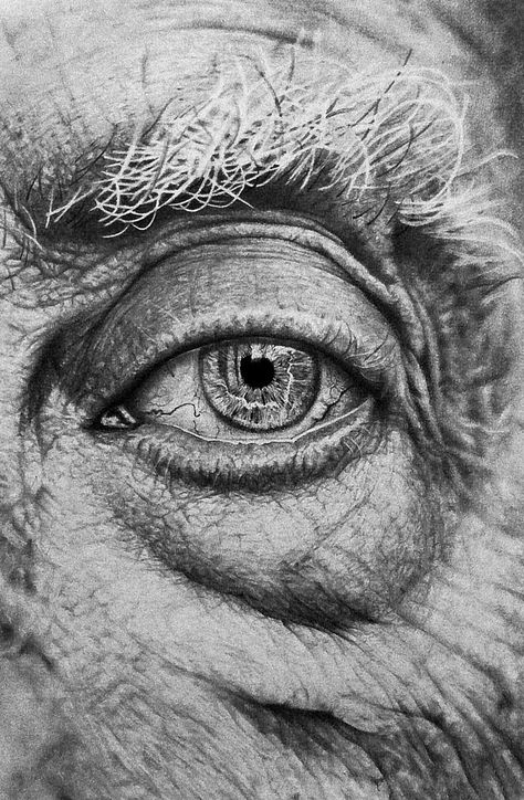 Hyperrealism Drawing, Incredible Drawings, Old Eyes, Male Face Drawing, Old Man Portrait, Drawing Study, Realistic Eye Drawing, Realistic Pencil Drawings, Drawing Eyes