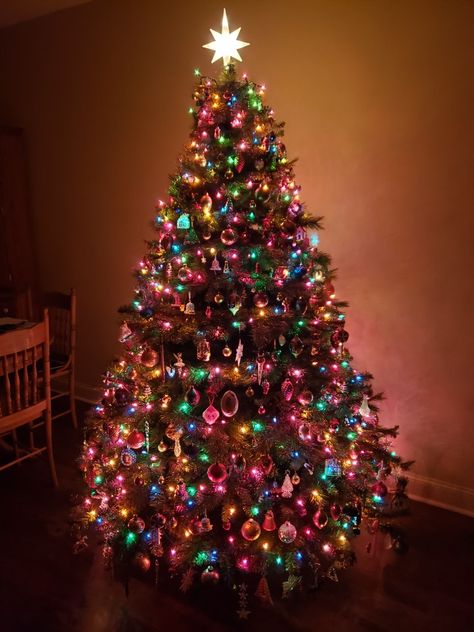 Colour Lights Christmas Tree, Rainbow Christmas Lights Tree, Bright Coloured Christmas Tree, Christmas Colorful Lights, Christmas Tree Decor Aesthetic, Colourful Lights Christmas Tree, Christmas Colored Lights Tree, Christmas Tree Ideas Colourful, Colored Lights On Christmas Tree