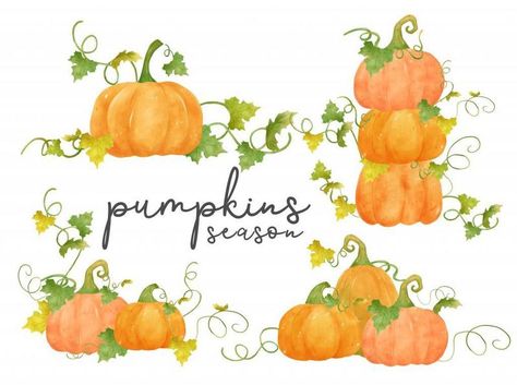 Pumpkin Vines Painting, Pumpkin With Vines Drawing, Pumpkin Vine Drawing, Diy Fall Ideas, Vine Drawing, Vine Decoration, Watercolor Orange, Pumpkin Vine, Painting Medium