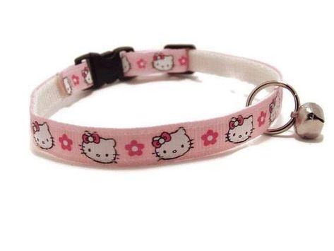 Wishlist White Background, Kitty Accessories, Pet Spaces, Hello Kit, Cat Items, Puppy Play, Silly Dogs, Hello Kitty Items, Cat Room