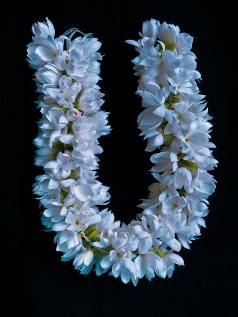 Symbolic And Spiritual Meaning Of Jasmine Flowers Hidden Language, Garland Of Flowers, Flower Garland Hair, Jasmine Hair, Bridal Hairstyle Indian Wedding, Happy Wedding Anniversary Wishes, Wedding Background Images, Flower Garland Wedding, Hair Garland