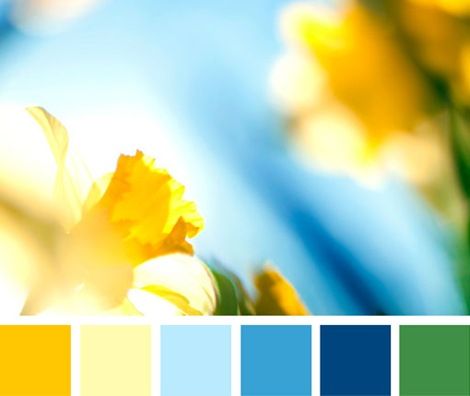 Use Pinterest for Color Inspiration Design Seeds, Colour Board, Work Life, Colour Schemes, Color Of Life, Color Pallets, Room Colors, Color Theory, Daffodils