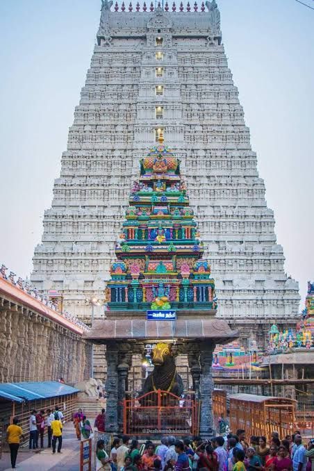 Thiruvannamalai Temple Hd, Arunachalam Shiva, Kumbakonam Temple, Arunachalam Temple, Temple India, Indian Temple Architecture, Ancient Indian Architecture, Temple Photography, Lord Murugan Wallpapers