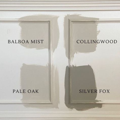 Benjamin Moore Pale Oak Vs Revere Pewter, Museum Piece Benjamin Moore, Benjamin Moore Interior Door Color, Colling Wood Benjamin Moore, 2023 Wall And Trim Colors, Pale Oak With Green, Collingwood Benjamin Moore Living Rooms, Benjamin Moore Silver Fox Paint, Silver Fox Paint Benjamin Moore