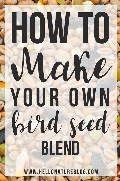 Homemade Bird Food, Homemade Bird Seed, Bath Diy, Pine Cone Bird Feeder, Wheat Flower, Bird Seed Ornaments, Tattoo Bird, Flying Tattoo, Homemade Bird Feeders