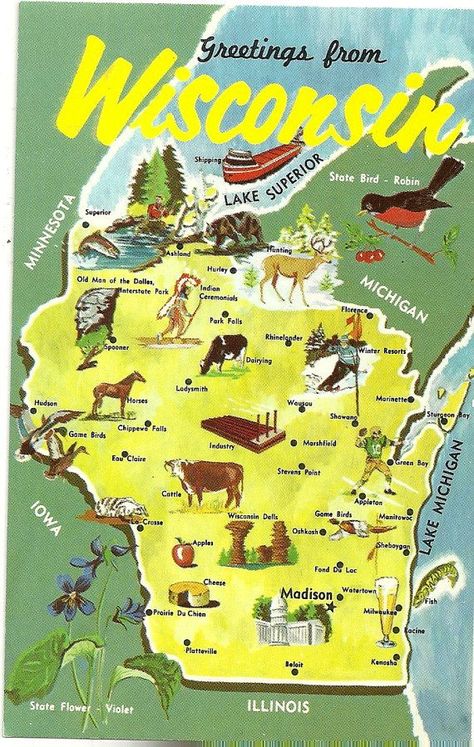 1000+ images about Maps on Pinterest | Illustrated maps, Map ... Vintage Illustrations, Illustrated Postcards, Wisconsin Pride, Wisconsin State, Wisconsin Travel, Wisconsin Dells, Illustrated Map, State Map, North Dakota