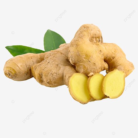 Ginger Side Effects, Reduce Nausea, Turmeric Capsules, Zingiber Officinale, Health Benefits Of Ginger, Ginger Benefits, Ginger Essential Oil, Motion Sickness, Cold Cough