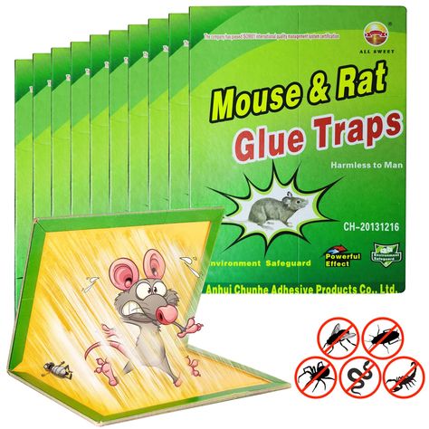 PRICES MAY VARY. 【Stronger stickiness】The mouse glue plate is made of special glue, which is strong and evenly distributed, making it easier to catch common household pests such as mice, cockroaches, silver fish, bed bugs, ants, etc. 【Safer and easier to clean】Toxic compounds, no harmful odors. They are safe for your family and pets. This is a green trap. You don't need to touch the mice, just fold the sticky mousetrap left and right, and throw them together in the trash can. No mess, will not c Glue Traps, Household Pests, Rat Traps, Sticky Pads, Mouse Rat, Bed Bugs, Rodents, Mice, Rats