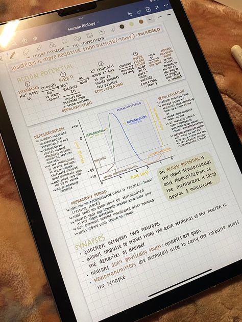 Goodnotes Psychology Notes, Digital School Notes, Action Potential Notes, Pretty Ipad Notes, Notes In Ipad, Ipad Notes Ideas, Ipad Notes Aesthetic Goodnotes, Ipad Study Notes, Good Notes Aesthetic