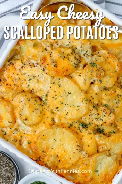 These easy cheesy scalloped potatoes are a delicious and easy potato side dish that makes classic scalloped potatoes even simpler! #spendwithpennies #scallopedpotatoes #potatoes #cheesyscallopedpotatoes #scalloped #cheesypotatoes #sidedish #easysidedish Slow Cooker Recipes Shrimp, Slow Cooker Sausage Recipes, Easy Cheesy Scalloped Potatoes, Cheesy Scalloped Potatoes Recipe, Easy Scalloped Potatoes Recipe, Potato Side Dishes Easy, Cheesy Scalloped Potatoes, Scalloped Potatoes Easy, Slow Cooker Pasta Recipes