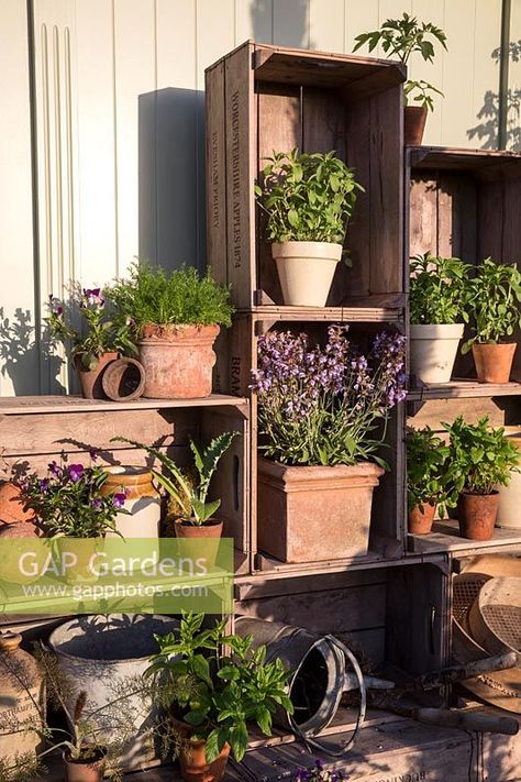 Displaying Pots In Garden, Apple Crate Garden Ideas, Terracotta Pots Garden Display, Apple Crates Garden, Terracotta Pot Display, Garden Pot Display Ideas, Terracotta Herb Garden, Outdoor Upcycled Ideas, Apple Crate Ideas