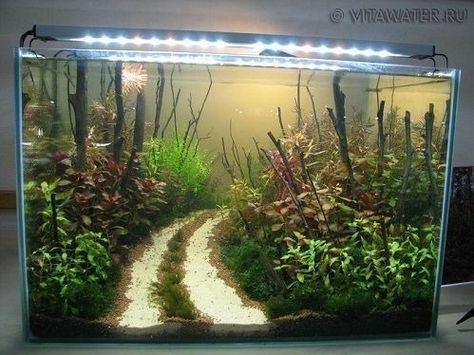 Fish Tank Themes, Freshwater Aquarium Plants, Fish Tank Terrarium, Amazing Aquariums, Taman Air, Cool Fish Tanks, Lots Of Plants, Fish Tank Design, Aquascape Design