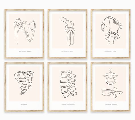 Chiropractic Art Ideas, Chiropractic Posters, Anatomy Prints Wall Art, Anatomy Posters Decor, Chiropractic Wall Art, Clinic Design Poster, Medical Wall Art, Clinic Decor, Anatomy Posters