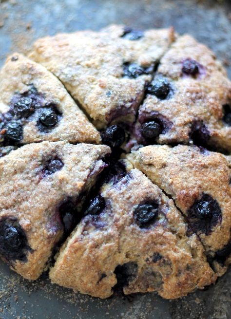 Healthy Sweets, Healthy Baking, Yogurt Scones, Healthy Scones, Ambitious Kitchen, Healthy Blueberry, S'mores, Scone Recipe, Baklava