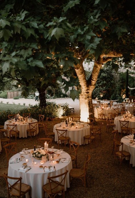 Backyard Woodsy Wedding, Romantic Style Wedding Decor, Wedding Whimsical Romantic, Dreamy Backyard Wedding, Outdoor Small Wedding Ideas, Vintage Wedding Venues Rustic, Country Side Weddings, Vintage Cottage Wedding, Small Garden Wedding Reception